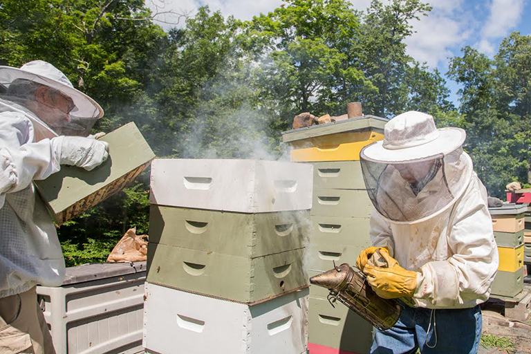 Wake robin honey from the beehives cared for by residents is bottled and sold.