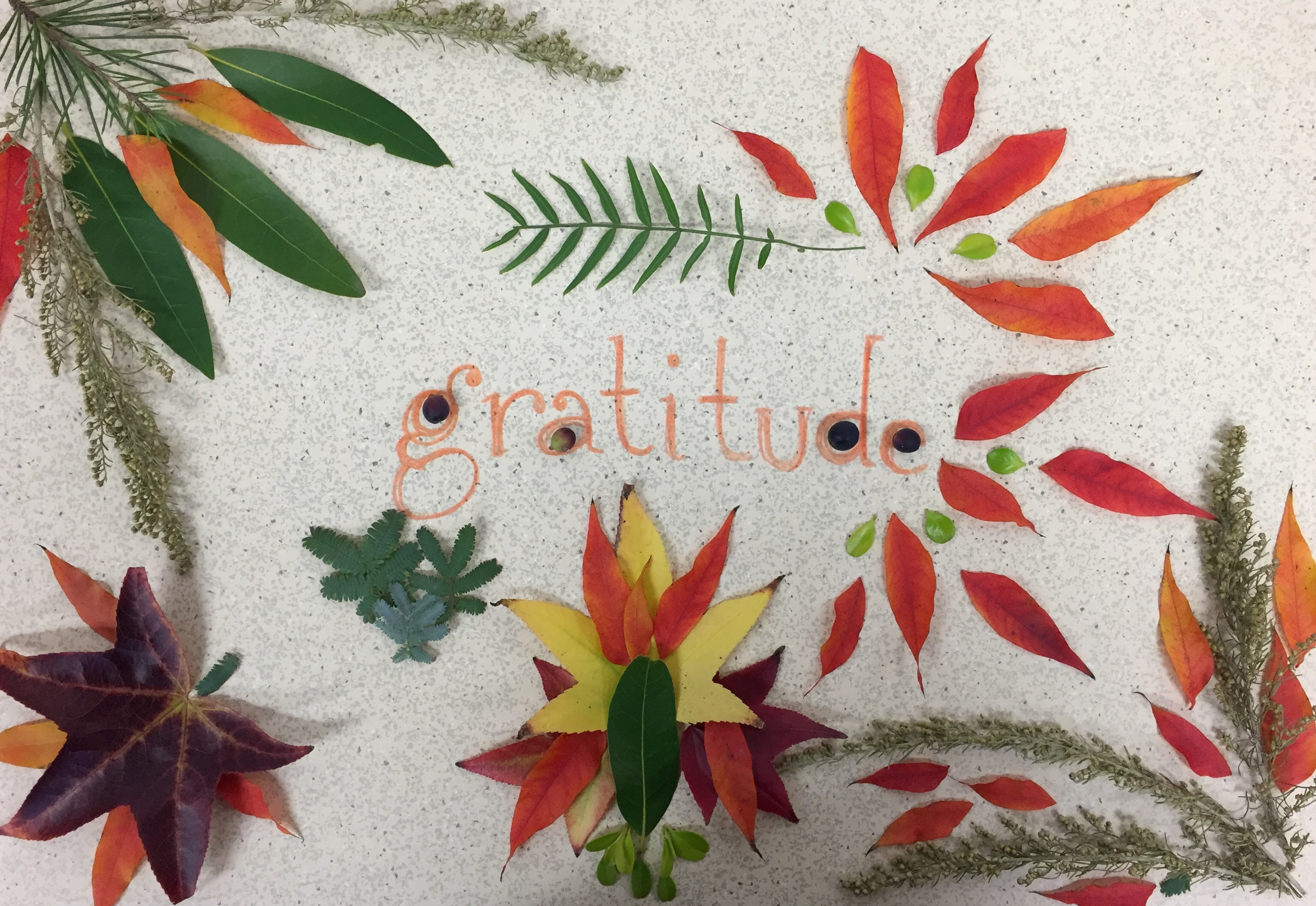 Elder care alliance createartatwork