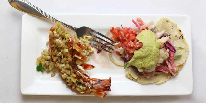 Lobster taco